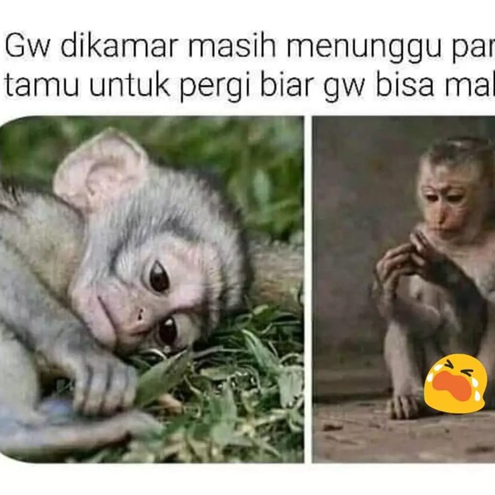 10 Meme lucu momen menyebalkan ini bikin geli-geli jengkel