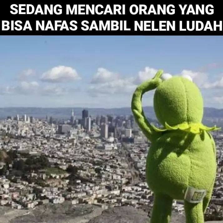 Meme mencari sesuatu Berbagai sumber