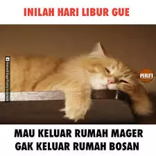 Meme bosan liburan Berbagai sumber