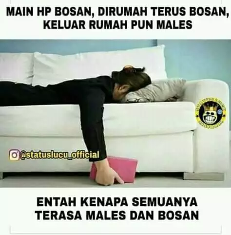 Meme bosan liburan Berbagai sumber