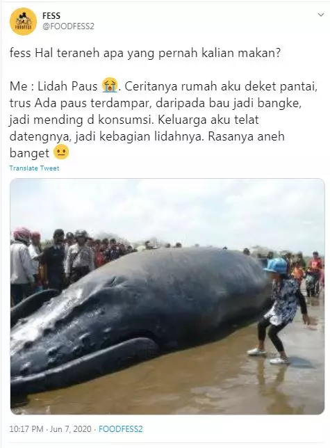 pengalaman warganet saat makan Twitter pengalaman warganet saat makan Twitter