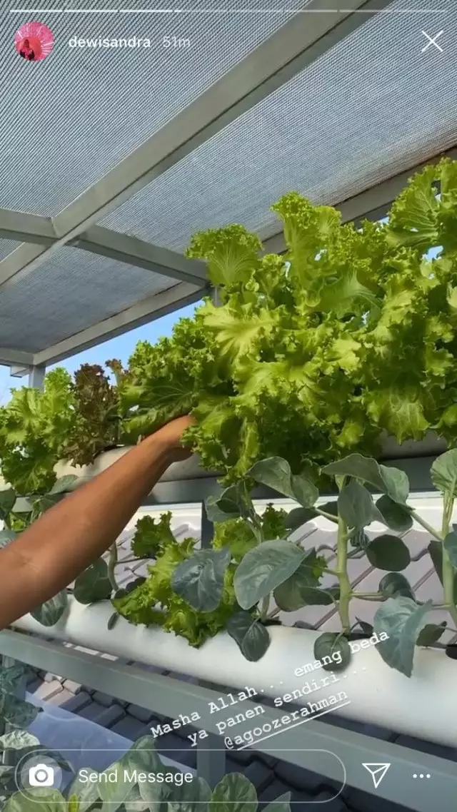 seleb berkebun dengan suami instagram seleb berkebun dengan suami instagram