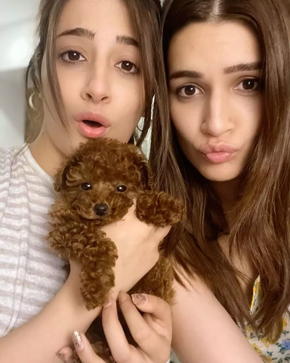 potret kebersamaan kriti sanon dan adik instagram