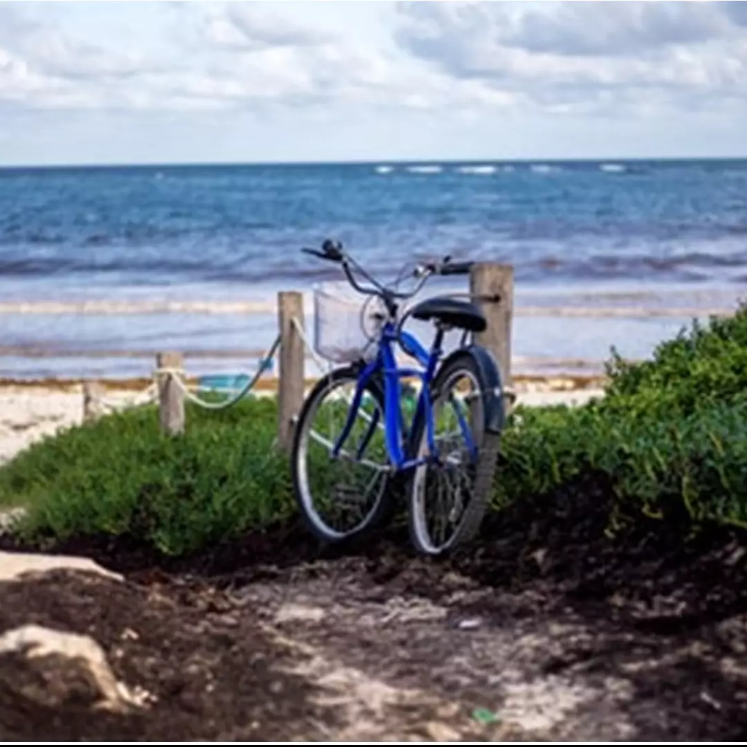 Ramai sepeda akan kena pajak, 5 negara ini malah bayar pesepeda