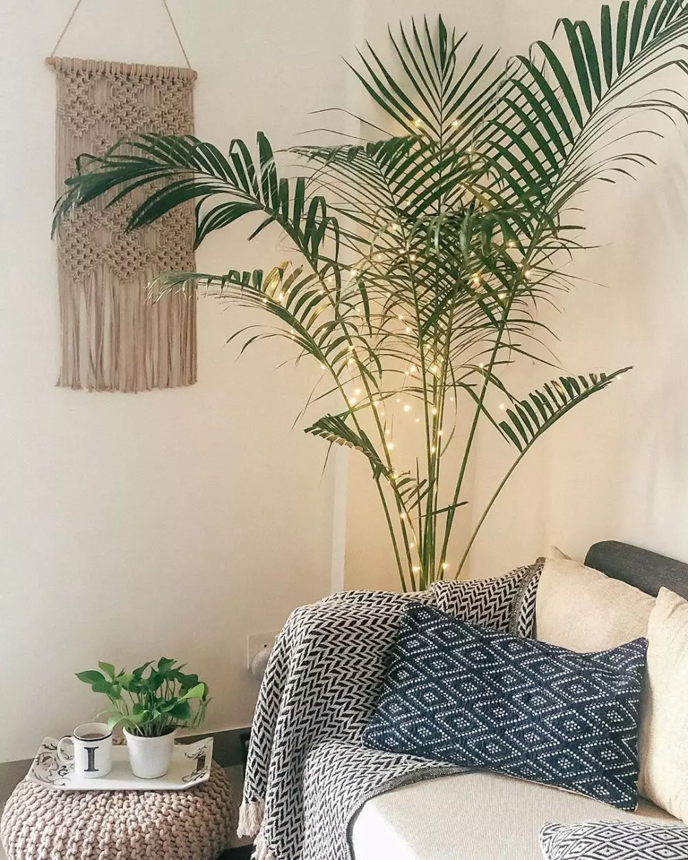 Lampu LED © 2020 brilio.net Lampu LED © 2020 brilio.net