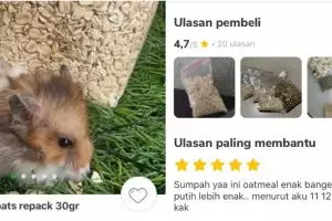 9 Cuitan pengalaman orang santap makanan hamster ini absurd