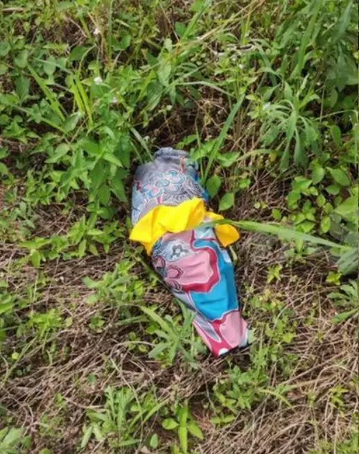 bungkusan misterius bikin tepuk jidat mstar.com.my bungkusan misterius bikin tepuk jidat mstar.com.my