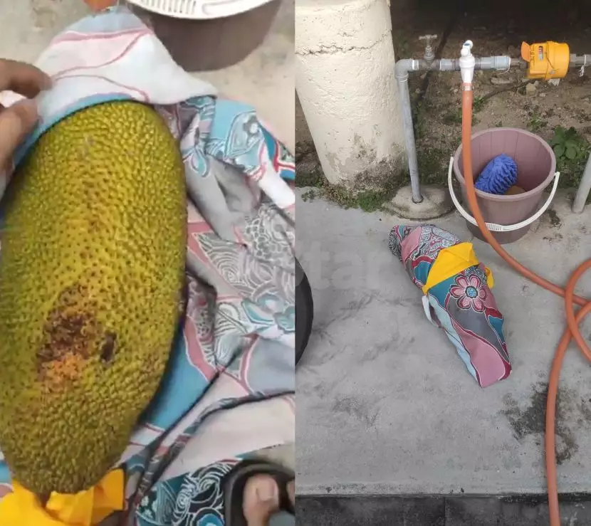 bungkusan misterius bikin tepuk jidat mstar.com.my bungkusan misterius bikin tepuk jidat mstar.com.my