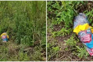 Sempat dikira bayi, isi bungkusan misterius ini bikin tepuk jidat