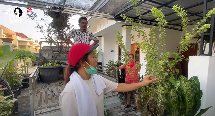 Soimah borong tanaman © 2020 brilio.net