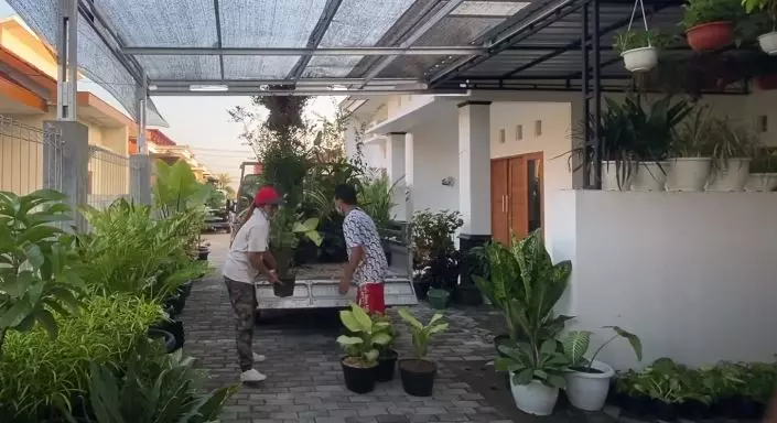 Soimah borong tanaman © 2020 brilio.net