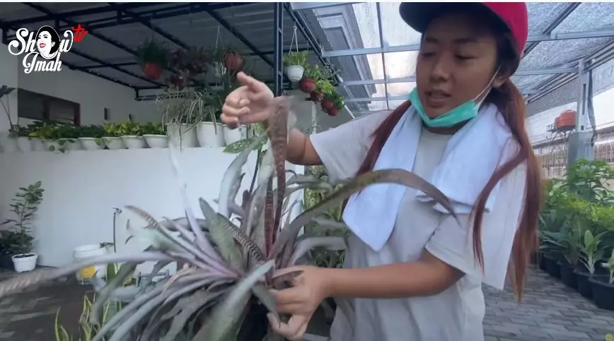 Soimah borong tanaman © 2020 brilio.net