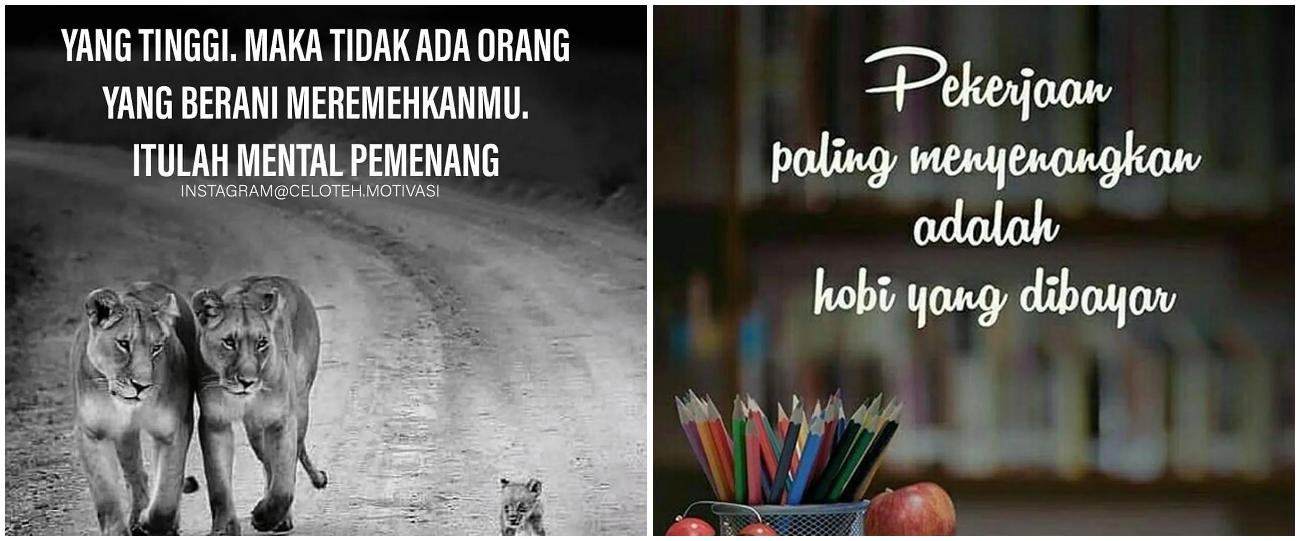 111 Kata-kata semangat wirausaha, penuh makna dan motivasi