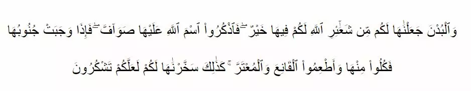 Tata cara qurban © 2020 brilio.net Tata cara qurban © 2020 brilio.net