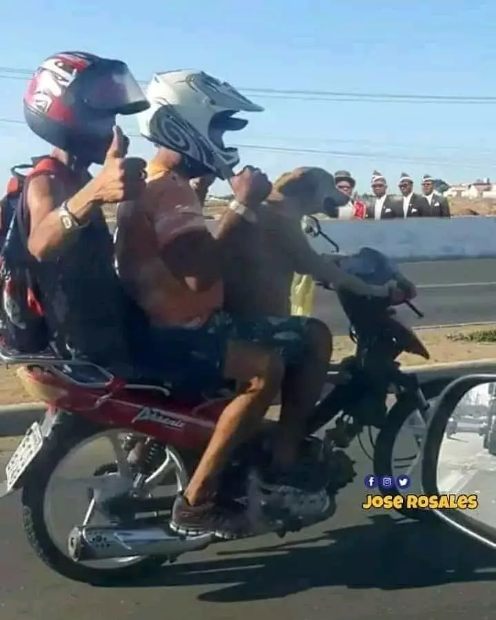 momen absurd hewan di tempat umum © 2020 instagram.com momen absurd hewan di tempat umum © 2020 instagram.com