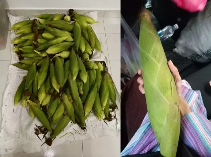 Istri ditinggal suami saat hamil mstar.com.my