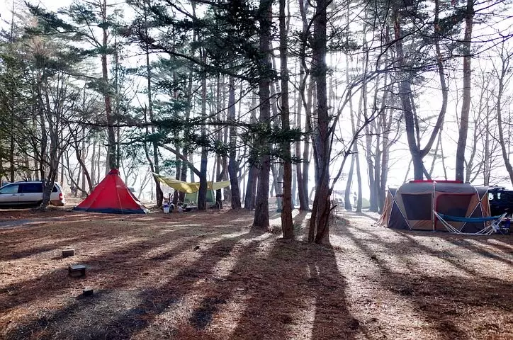 Piknikdirumah © 2020 brilio.net