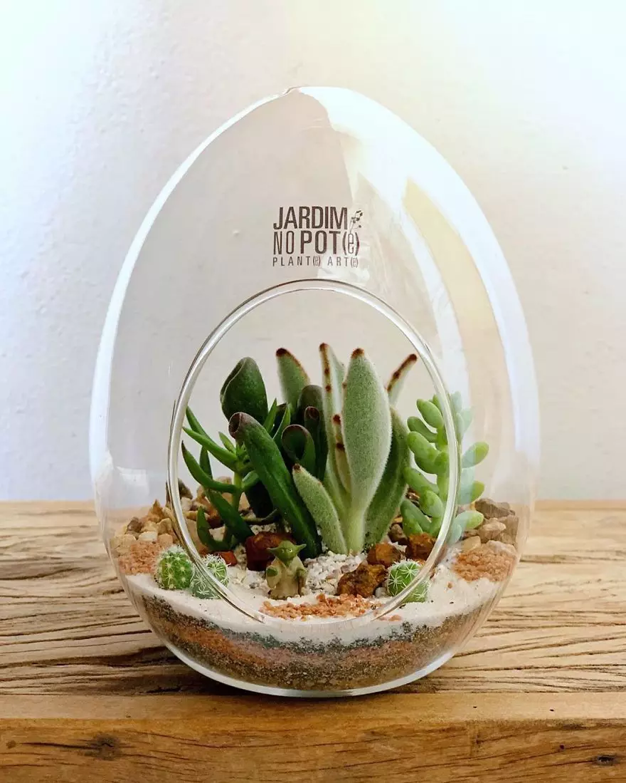 Potret Terrarium bisa dicoba boredpanda