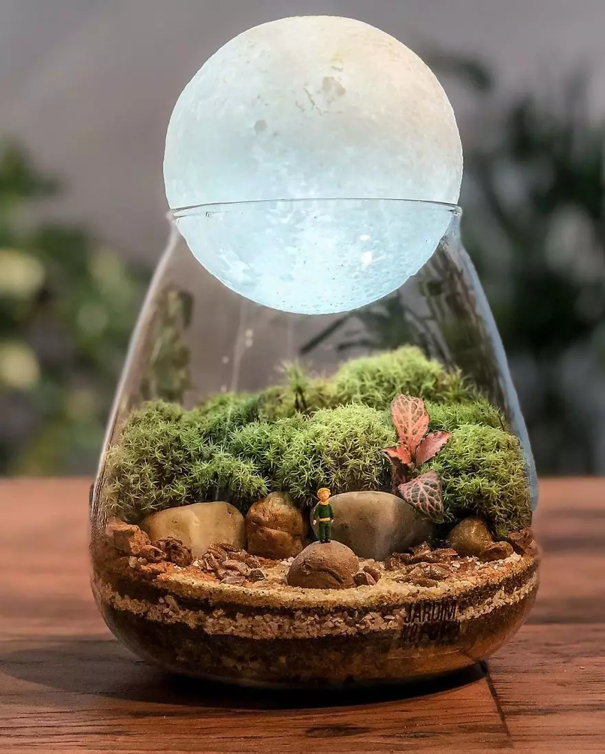 Potret Terrarium bisa dicoba boredpanda