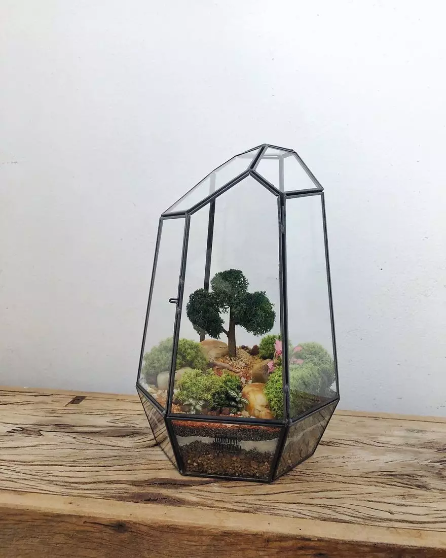 Potret Terrarium bisa dicoba boredpanda