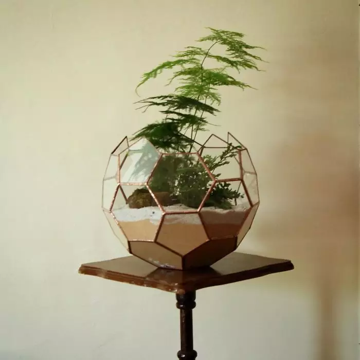 Potret Terrarium bisa dicoba boredpanda