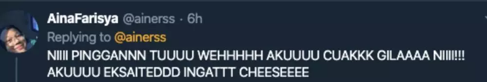 Pizza lelehan keju Twitter/@ainerss