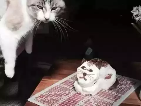 Kue ulangtahun hewan absurd Berbagai sumber