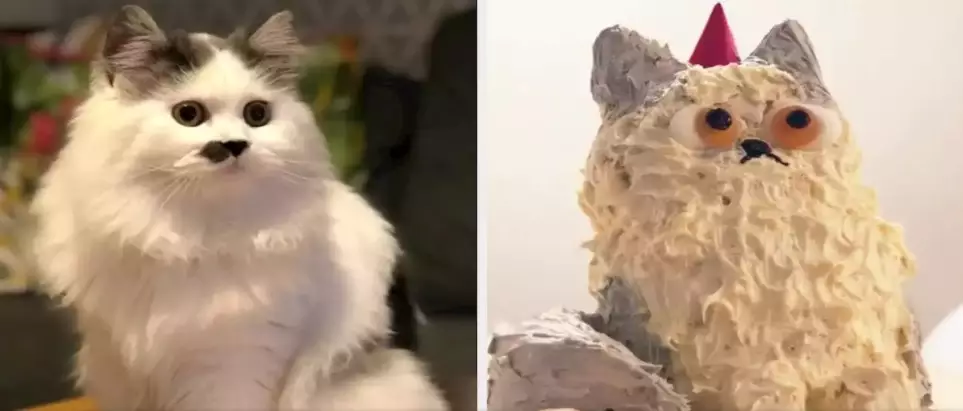 Kue ulangtahun hewan absurd Berbagai sumber