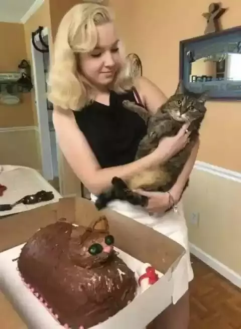 Kue ulangtahun hewan absurd Berbagai sumber