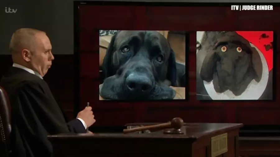 Kue ulangtahun hewan absurd Berbagai sumber