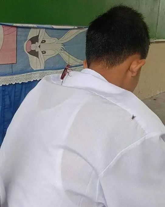 momen lucu menguji nyali © 2020 instagram.com