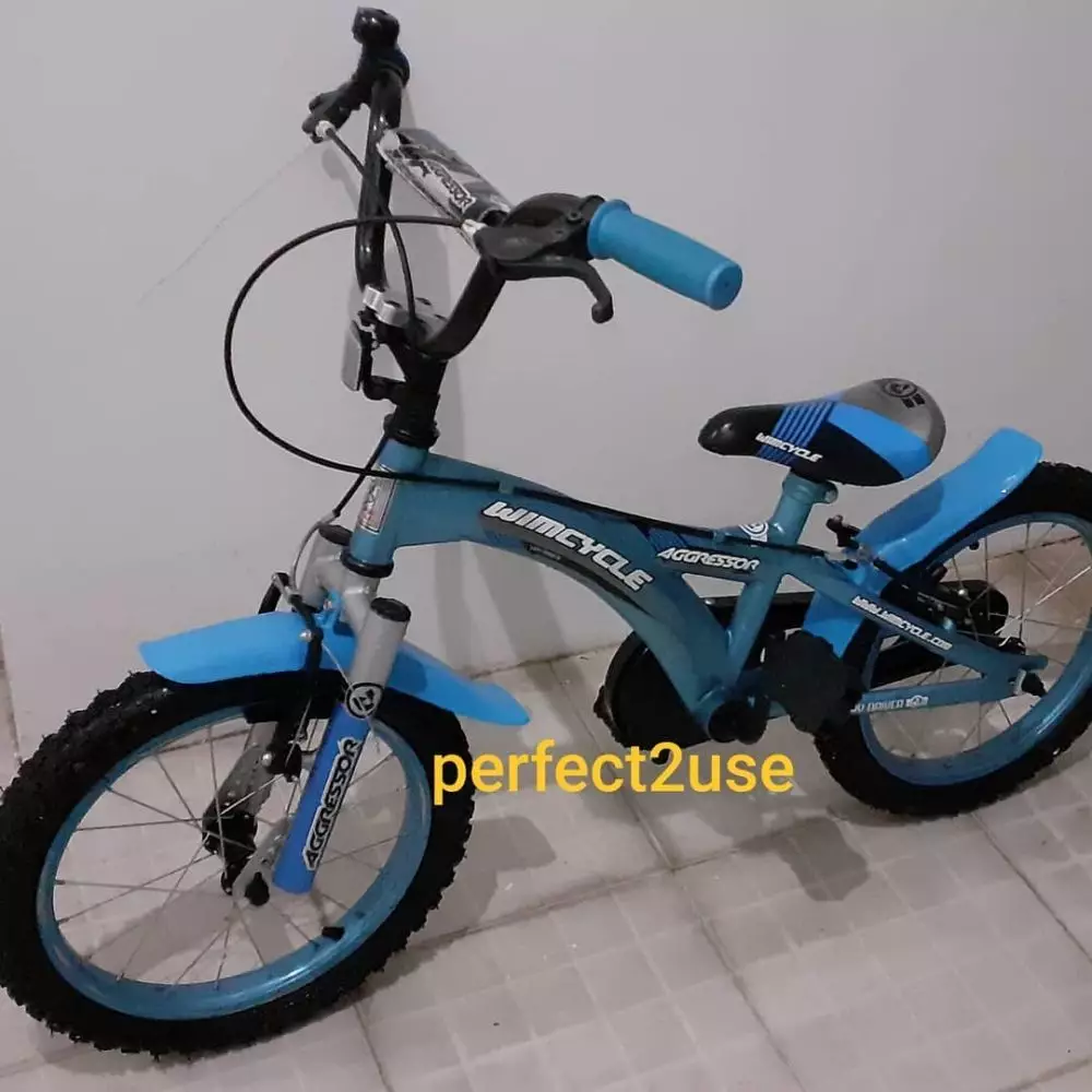 Harga sepeda anak tebaru 2020 © 2020 brilio.net