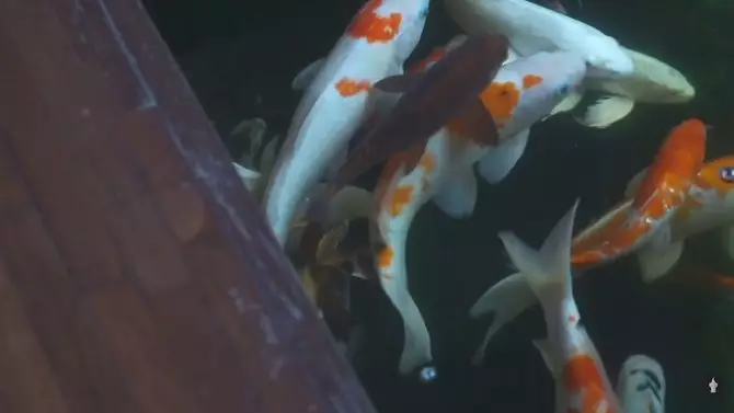 Rumah Anies Baswedan © 2020 brilio.net Rumah Anies Baswedan © 2020 brilio.net