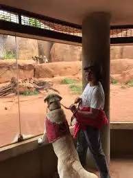 Momen hewan peliharaan kebun binatang Berbagai sumber Momen hewan peliharaan kebun binatang Berbagai sumber