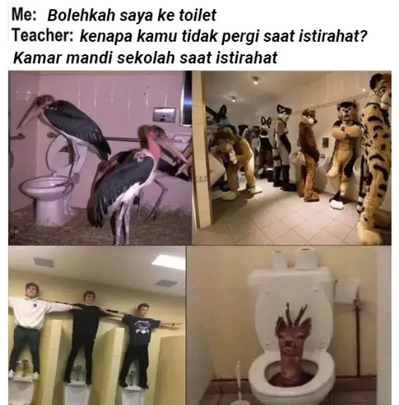 Meme toilet sekolah Berbagai sumber