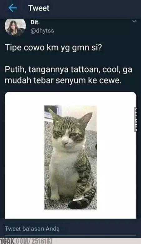 Meme suami idaman berbagai sumber Meme suami idaman berbagai sumber