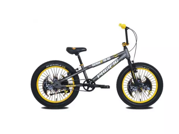 sepeda anak Pacific  pacific-bike.com