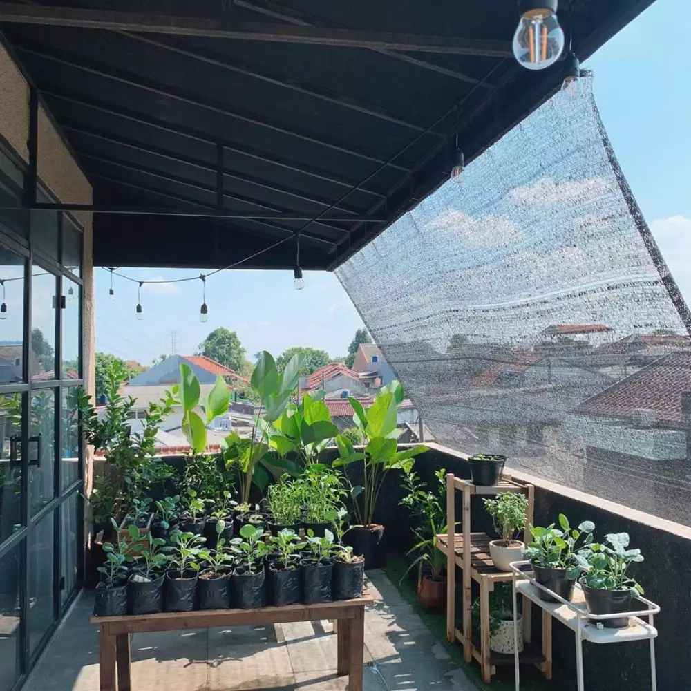 penampakan kebun seleb Instagram