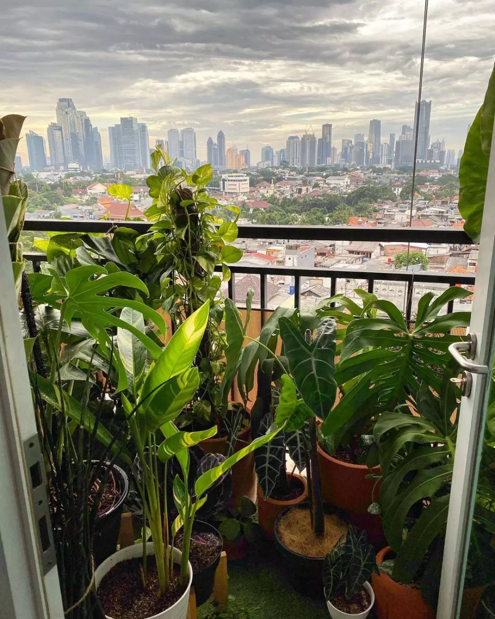 penampakan kebun seleb Instagram