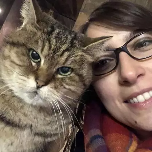 Gli Hagia Sophia © 2020 brilio.net