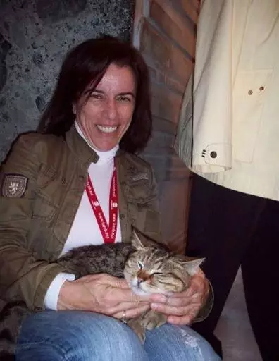 Gli Hagia Sophia © 2020 brilio.net