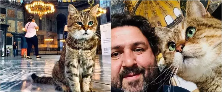 7 Potret bukti kucing Gli jadi idola pengunjung Hagia Sophia