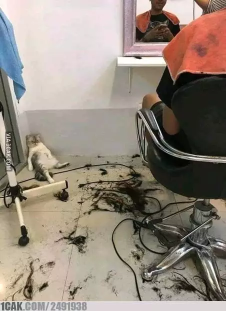 momen lucu potong rambut © 2020 1cak.com momen lucu potong rambut © 2020 1cak.com