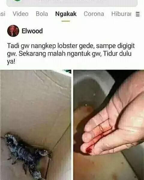 status lucu orang nemu barang © 2020 instagram.com status lucu orang nemu barang © 2020 instagram.com