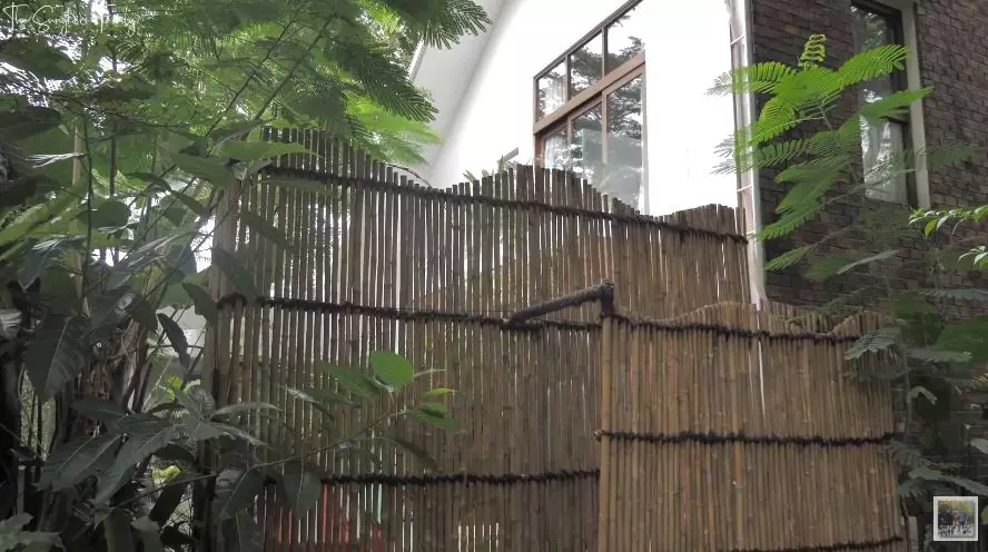 taman di rumah Irish Bella YouTube taman di rumah Irish Bella YouTube