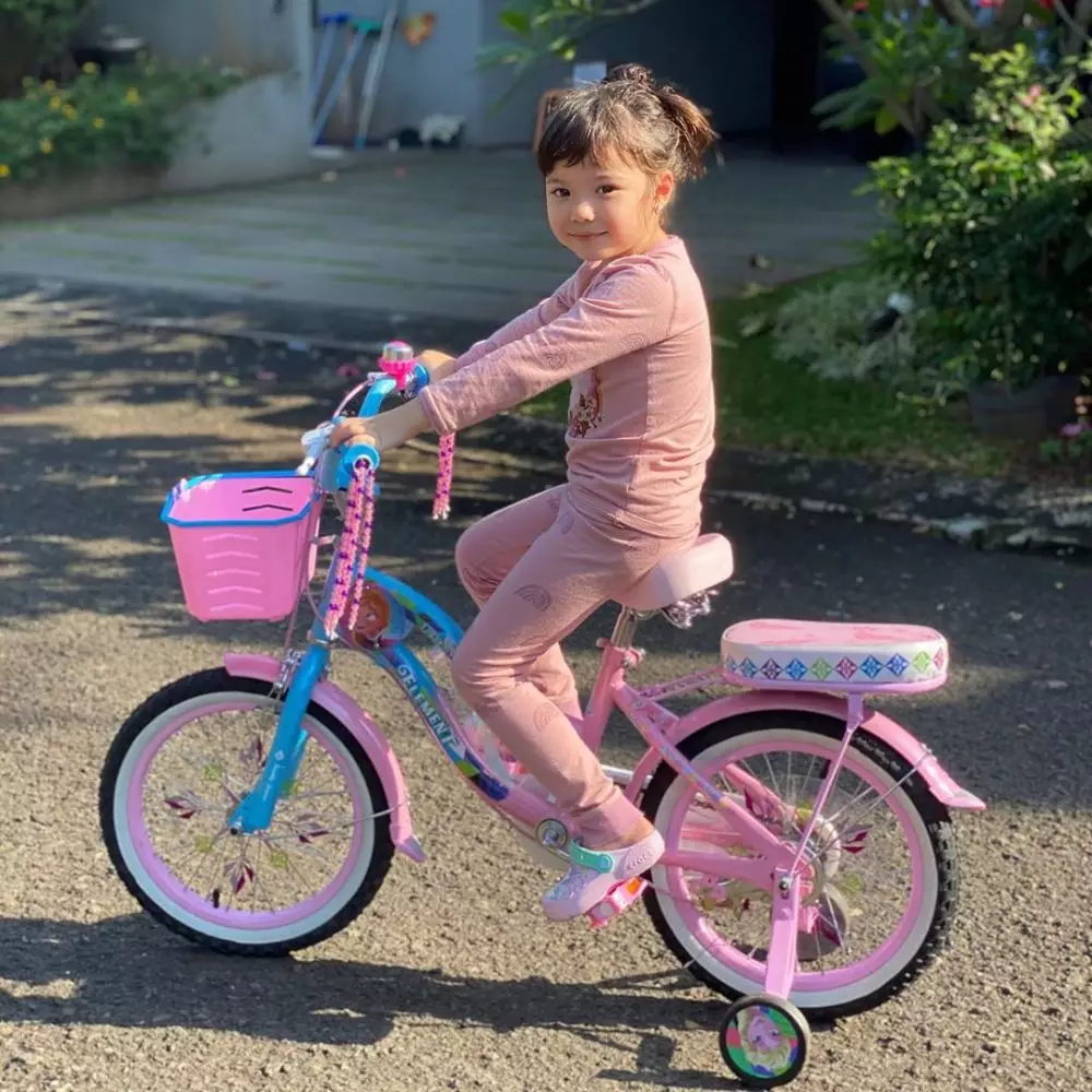 harga sepeda anak seleb Instagram