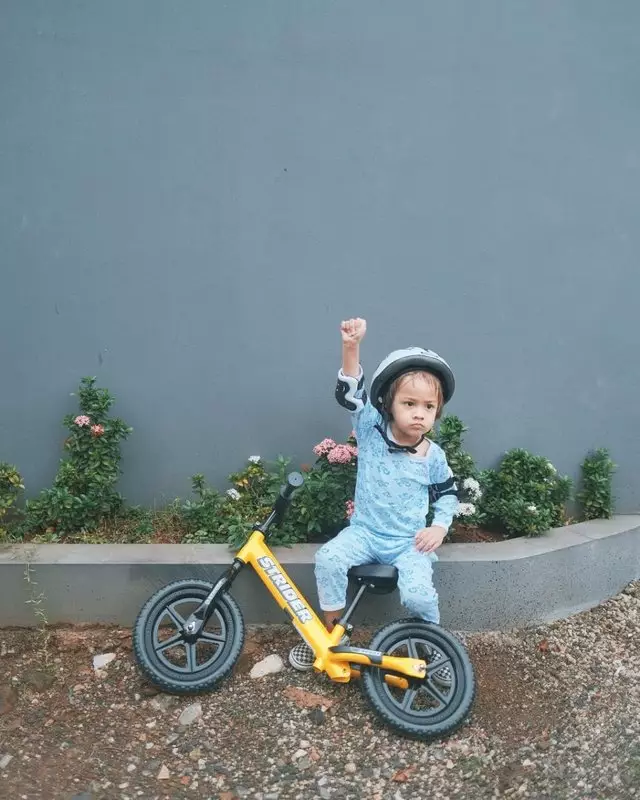 harga sepeda anak seleb Instagram