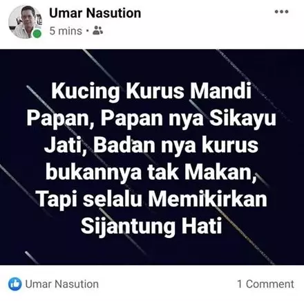 Status FB bapak-bapak galau Facebook