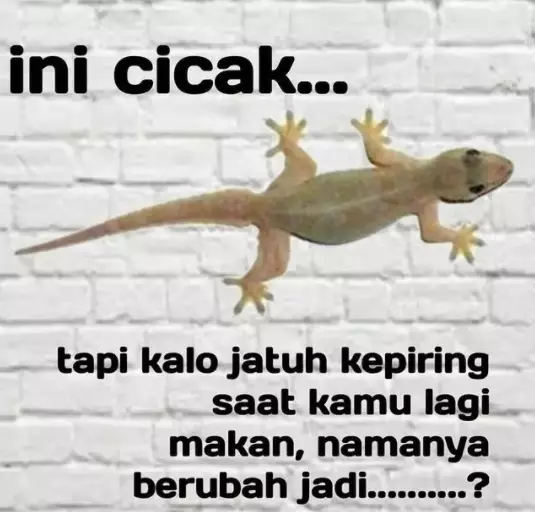 Potret tebak gambar absurd © 2021 brilio.net