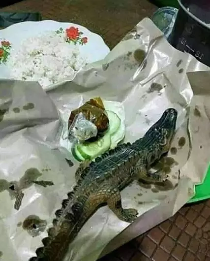 10 Isi piring makan kocak istimewa